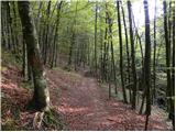 Stara Fužina - Planina Spodnja Grintovica